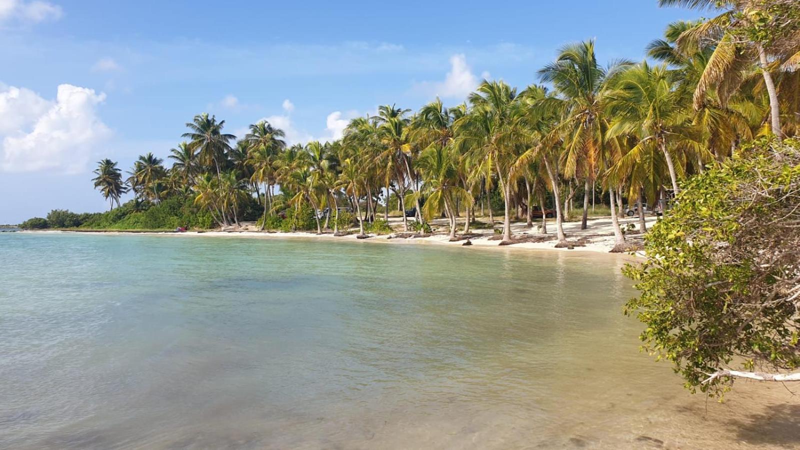 Studios Angoreva Vue Mer - Cote Plage Ou Jardin - Village Vacances - Sainte-Anne Guadeloupe Courcelles Zewnętrze zdjęcie