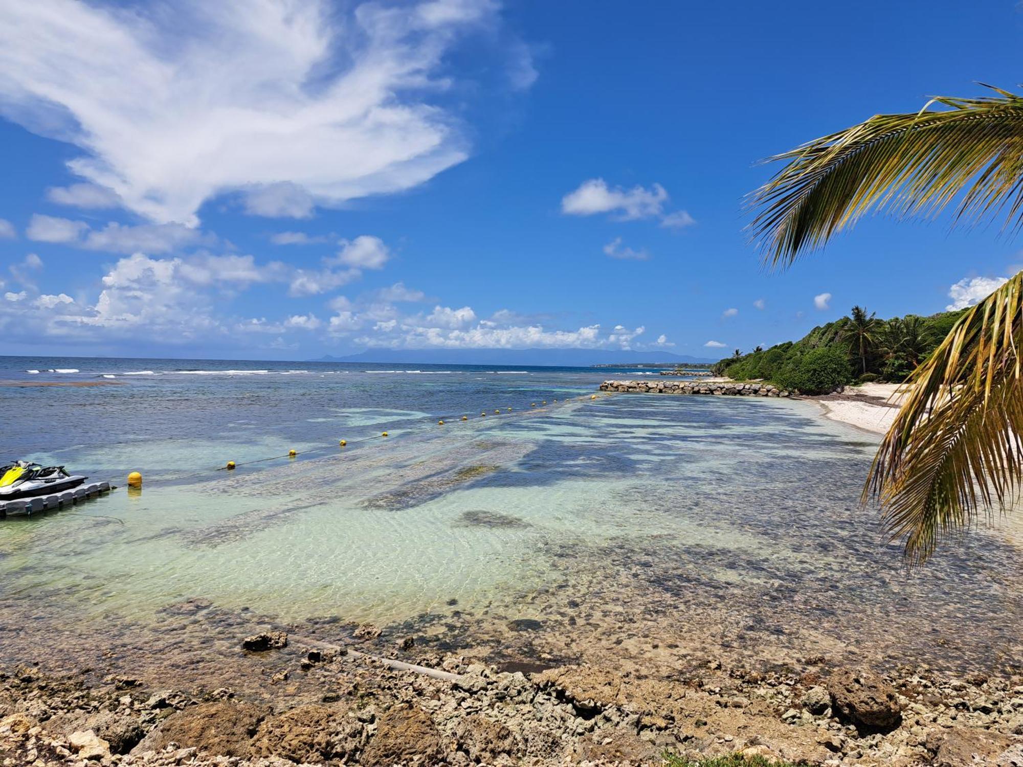 Studios Angoreva Vue Mer - Cote Plage Ou Jardin - Village Vacances - Sainte-Anne Guadeloupe Courcelles Zewnętrze zdjęcie